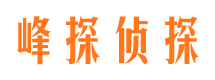 平南市侦探公司